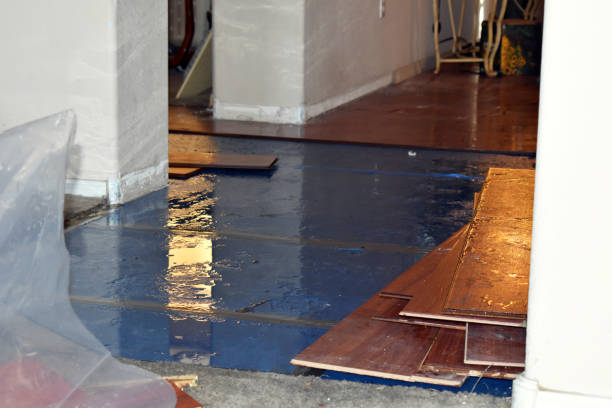 Professional Sewage Cleanup technician working in Vestaburg, MI
