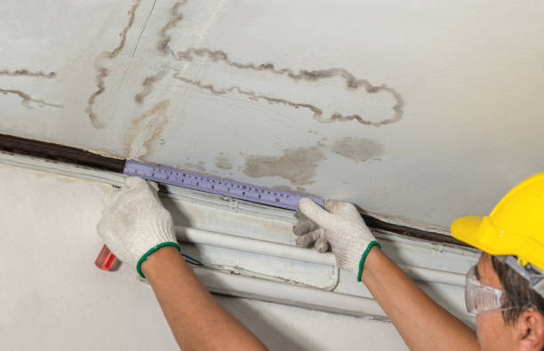 Reliable Sewage Cleanup contractor in Vestaburg, MI by Water Damage Irwin